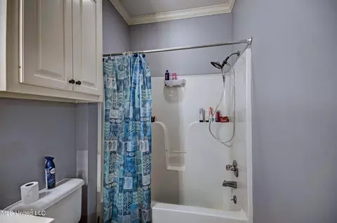 Bath - 205 Cannon Ridge Dr, Brandon, MS 39042 photo 1 of 5