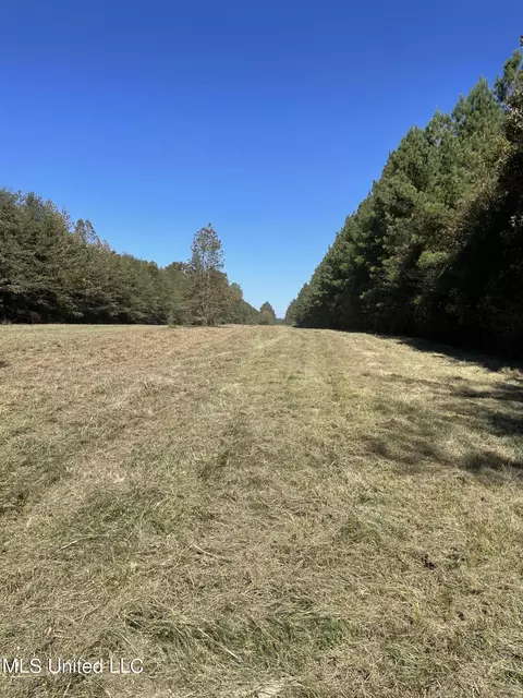 574 Mount Helm Rd, Brandon, MS 39047 photo 4