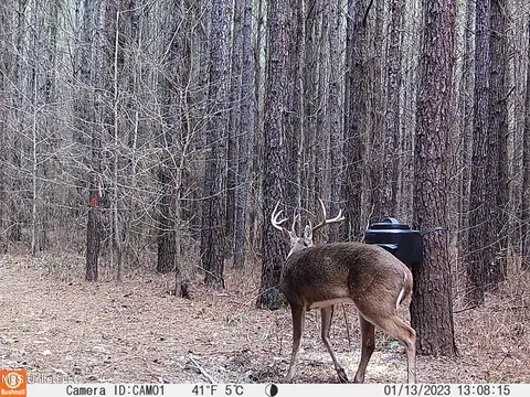 574 Mount Helm Rd, Brandon, MS 39047 photo 5