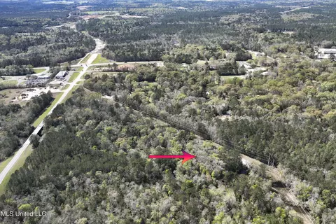 4585 Johnsie St, Vancleave, MS 39565 photo 8