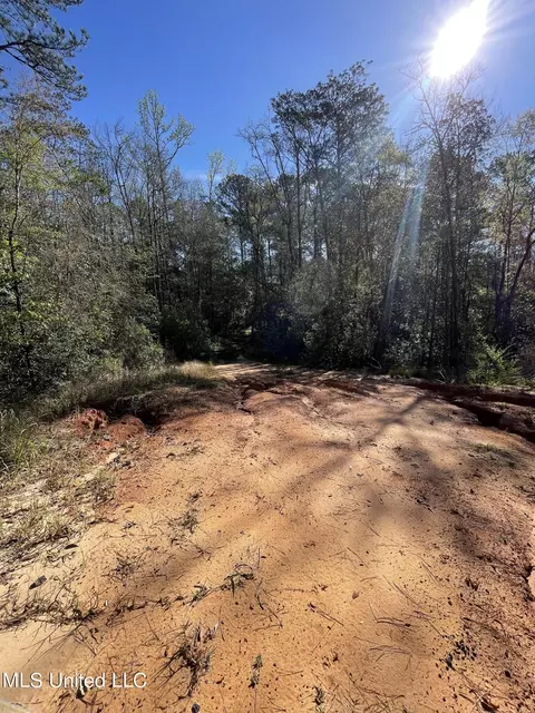 4585 Johnsie St, Vancleave, MS 39565 photo 12