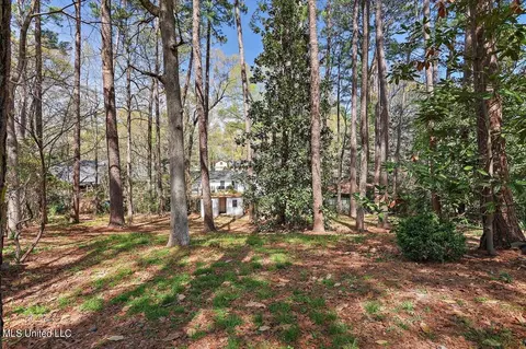 2210 Bellingrath Rd, Jackson, MS 39211 photo 39