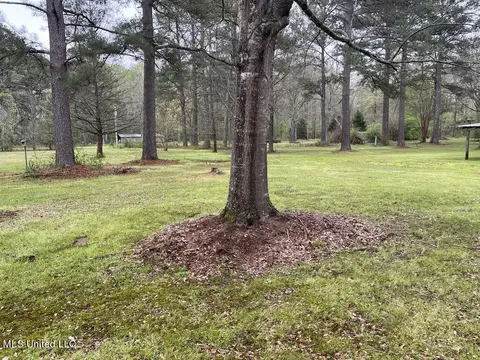 6719 Parsons Rd, Terry, MS 39170 photo 23