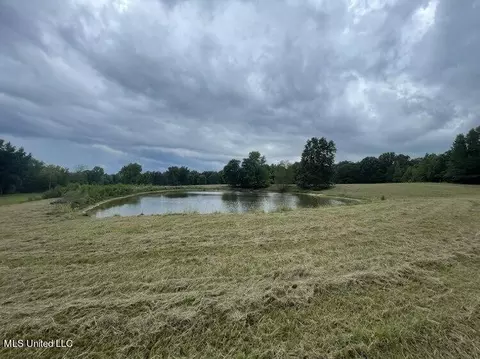 40 Williams Rd, Como, MS 38619