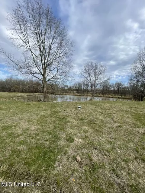 40 Williams Rd, Como, MS 38619 photo 9