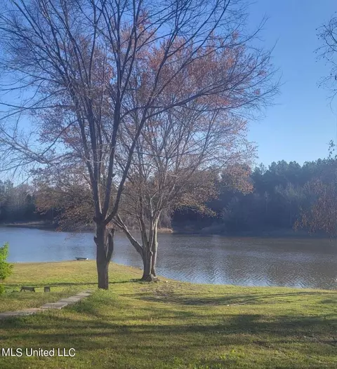 View/Area - 6012 Hernando Rd, Byhalia, MS 38611 photo 1 of 5