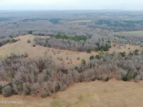0 Goodman Rd, Olive Branch, MS 38654