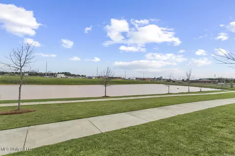 136 Amethyst Dr, Brandon, MS 39047 photo 26