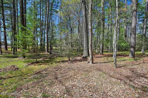 View/Area - 124 Ludlow Rd, Pearl, MS 39208 photo 1 of 1