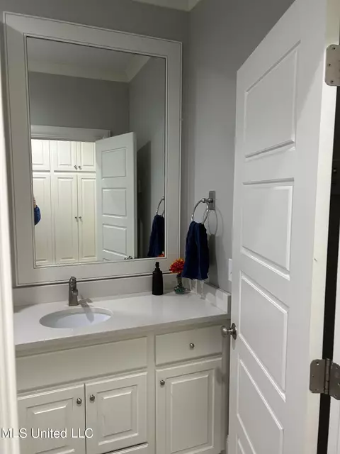 Bath - 127 Camden Trl, Madison, MS 39110 photo 4 of 14