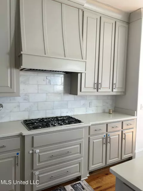 Kitchen - 127 Camden Trl, Madison, MS 39110 photo 2 of 8