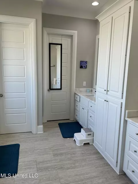 Bath - 127 Camden Trl, Madison, MS 39110 photo 3 of 14