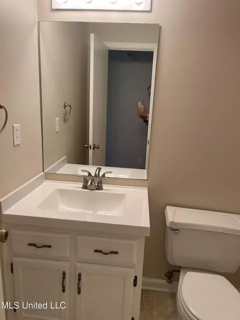 Bath - 180 Anthony Dr, Nesbit, MS 38651 photo 7 of 8