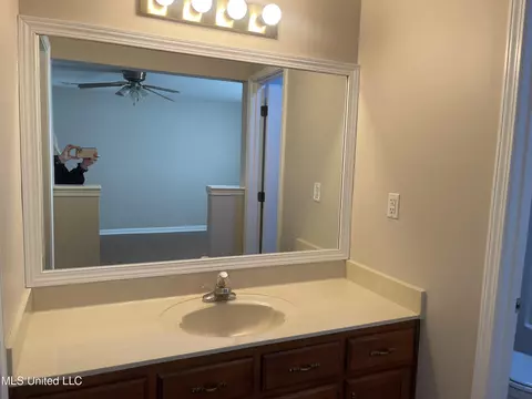 Bath - 180 Anthony Dr, Nesbit, MS 38651 photo 1 of 8