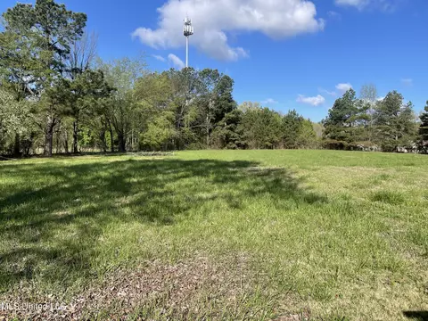 Exterior - 180 Anthony Dr, Nesbit, MS 38651 photo 4 of 7