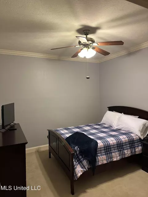 123 Devlin Springs Dr, Madison, MS 39110 photo 16