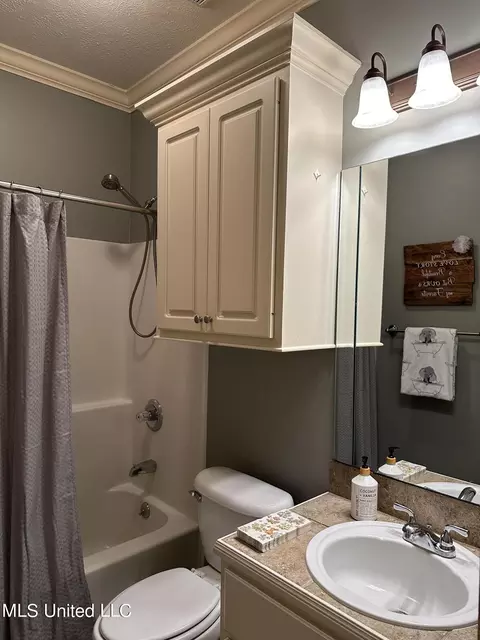 123 Devlin Springs Dr, Madison, MS 39110 photo 15