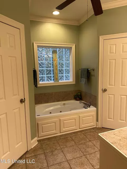 123 Devlin Springs Dr, Madison, MS 39110 photo 20
