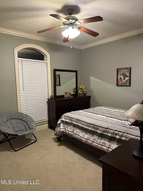 123 Devlin Springs Dr, Madison, MS 39110 photo 13