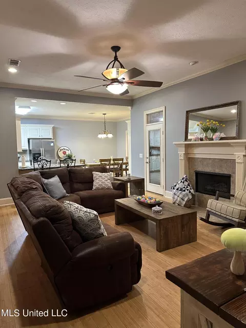 123 Devlin Springs Dr, Madison, MS 39110 photo 5