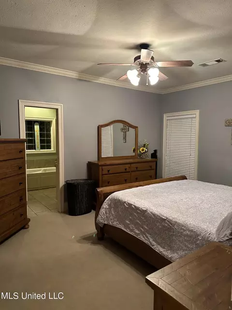 123 Devlin Springs Dr, Madison, MS 39110 photo 18