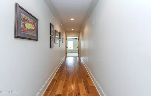 Entry Way - 110 Rosedowne Bnd, Madison, MS 39110 photo 7 of 12
