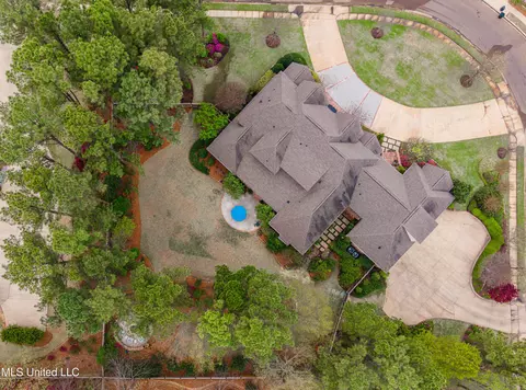View/Area - 110 Rosedowne Bnd, Madison, MS 39110 photo 5 of 6