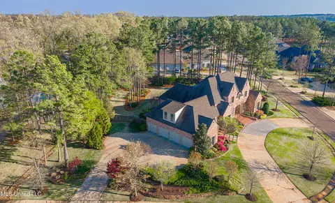 View/Area - 110 Rosedowne Bnd, Madison, MS 39110 photo 3 of 6