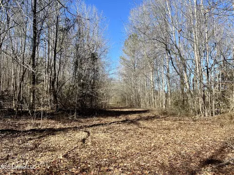 0 Cheatwood Rd, Ashland, MS 38603 photo 6