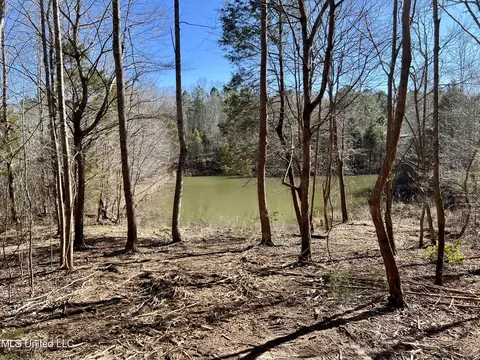 0 Cheatwood Rd, Ashland, MS 38603 photo 8