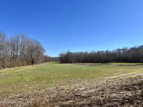 0 Cheatwood Rd, Ashland, MS 38603 photo 5