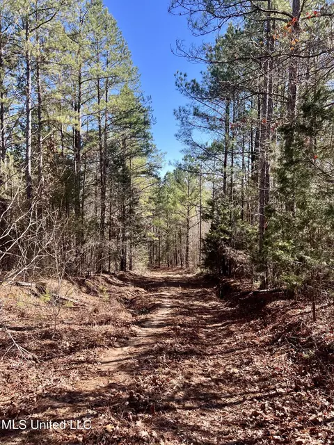 0 Cheatwood Rd, Ashland, MS 38603 photo 7