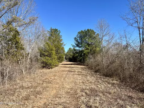0 Cheatwood Rd, Ashland, MS 38603
