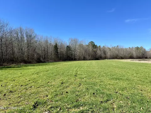 0 Cheatwood Rd, Ashland, MS 38603 photo 12