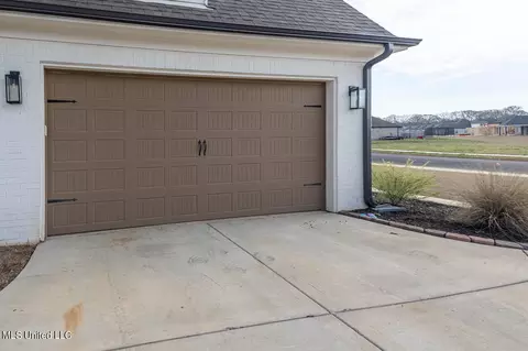 Exterior - 1712 Creek Haven Dr, Hernando, MS 38632 photo 12 of 13