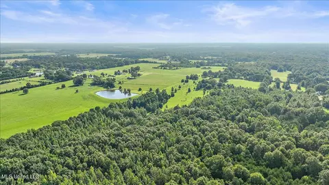 Smith Carr Road, Canton, MS 39046 photo 9