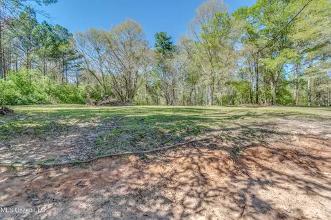 Exterior - 718 W Highway 28, Mize, MS 39116 photo 15 of 16