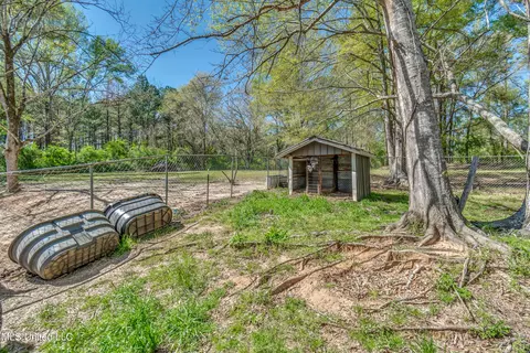 Exterior - 718 W Highway 28, Mize, MS 39116 photo 16 of 16