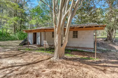 Exterior - 718 W Highway 28, Mize, MS 39116 photo 5 of 16