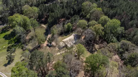 View/Area - 718 W Highway 28, Mize, MS 39116 photo 7 of 7