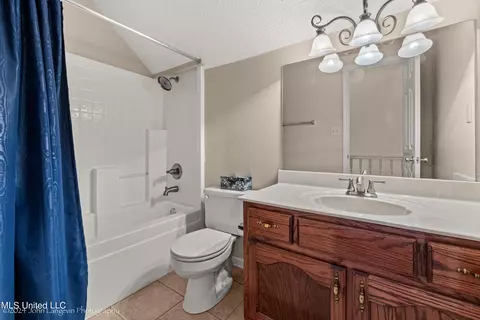 Bath - 3601 Sherrod Dr, Nesbit, MS 38651 photo 4 of 4
