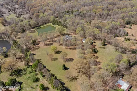 View/Area - 3601 Sherrod Dr, Nesbit, MS 38651 photo 3 of 6