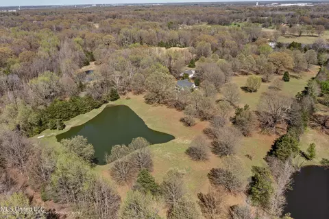 View/Area - 3601 Sherrod Dr, Nesbit, MS 38651 photo 6 of 6