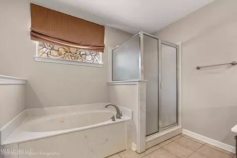 Bath - 3601 Sherrod Dr, Nesbit, MS 38651 photo 1 of 4