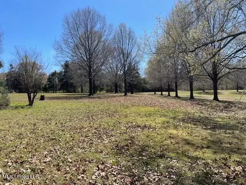 Exterior - 3601 Sherrod Dr, Nesbit, MS 38651 photo 9 of 10
