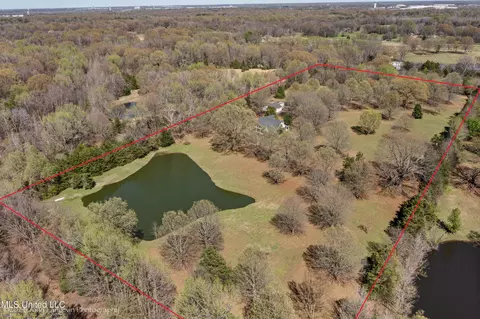 View/Area - 3601 Sherrod Dr, Nesbit, MS 38651 photo 5 of 6