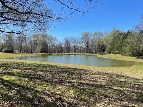 Exterior - 3601 Sherrod Dr, Nesbit, MS 38651 photo 10 of 10
