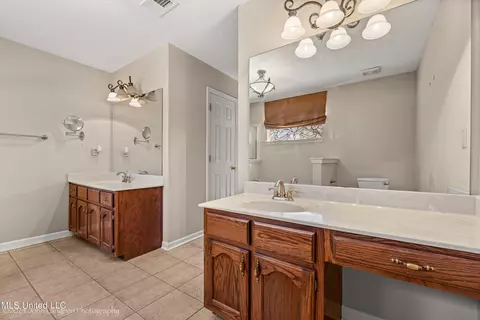 Bath - 3601 Sherrod Dr, Nesbit, MS 38651 photo 2 of 4