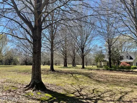 View/Area - 3601 Sherrod Dr, Nesbit, MS 38651 photo 2 of 6