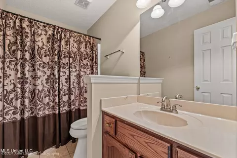 Bath - 3601 Sherrod Dr, Nesbit, MS 38651 photo 3 of 4